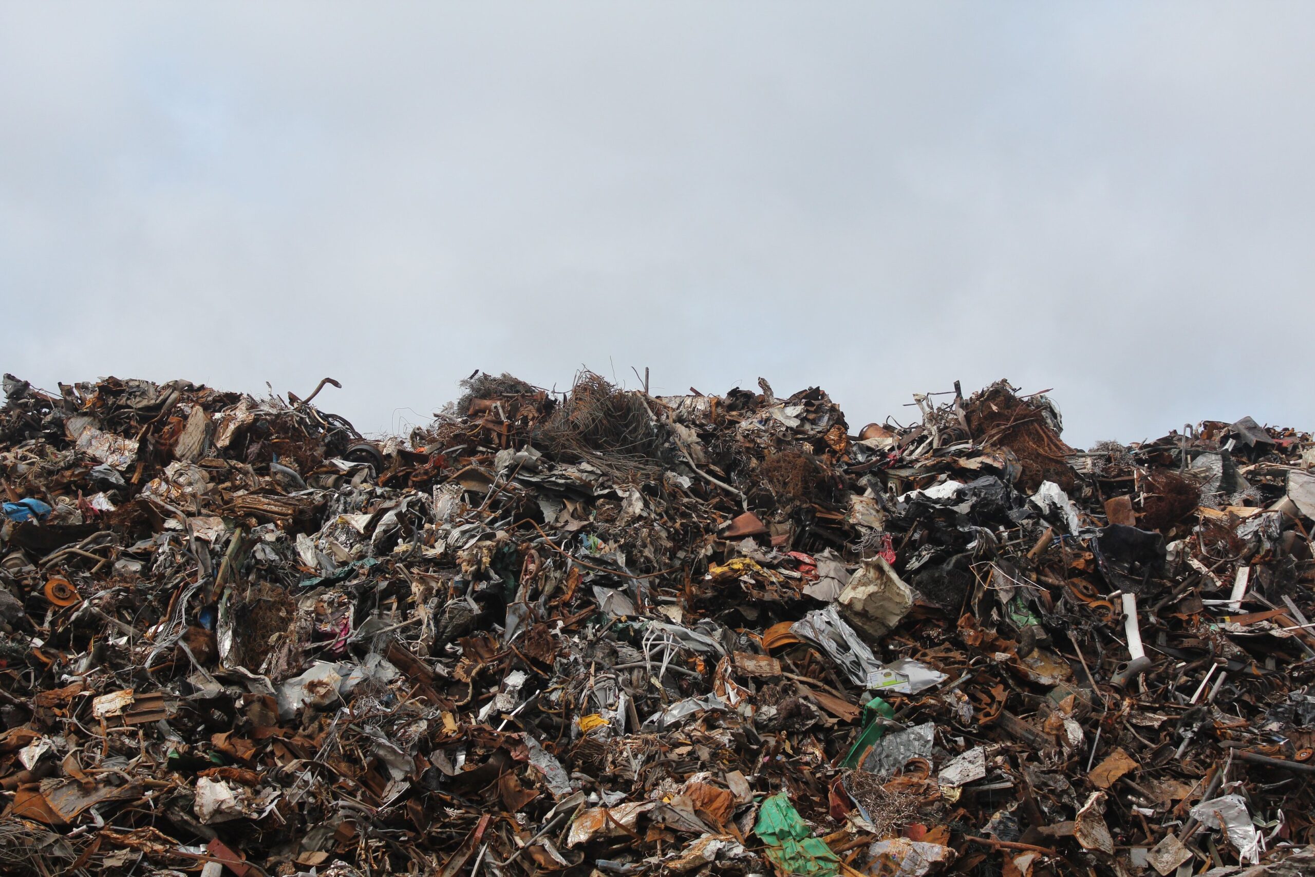 Local Government Says You Have an Unsightly Property and Ordered You to Clean Up – What Now?