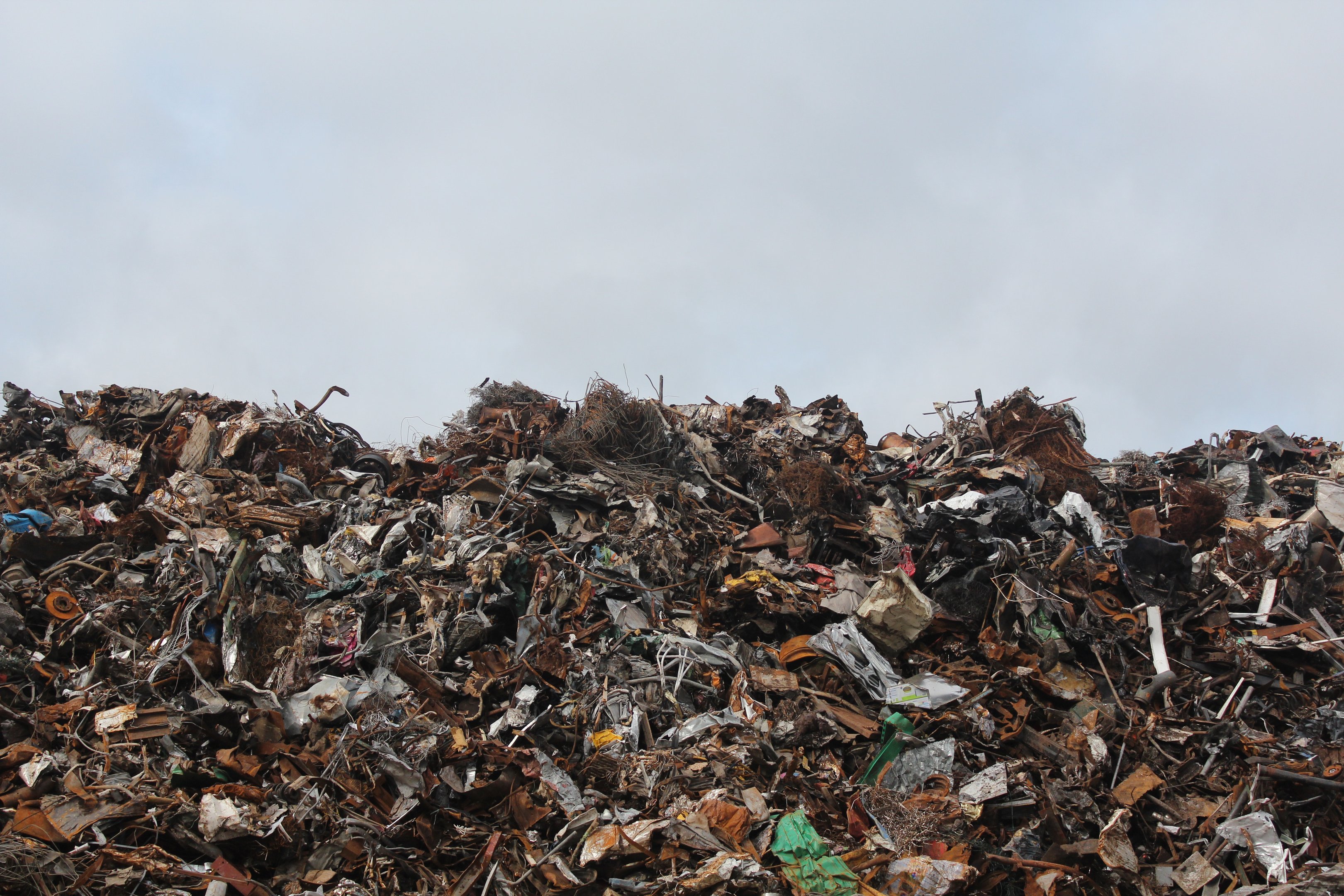 Local Government Says You Have an Unsightly Property and Ordered You to Clean Up - What Now?