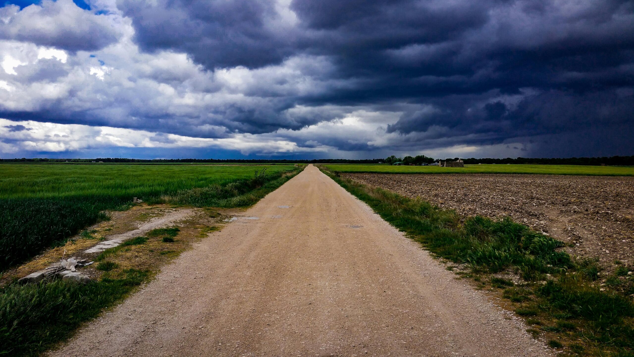 The Case of the Driveway that was a Highway